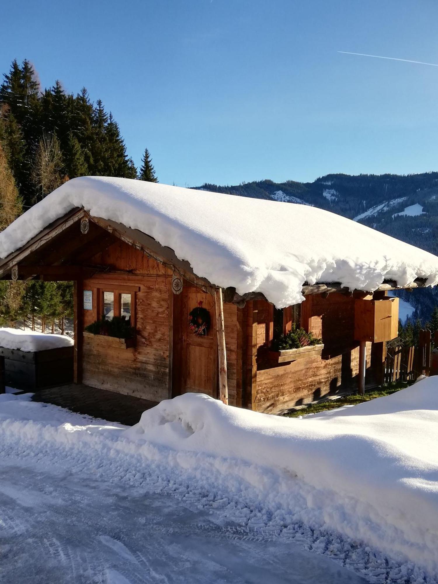 Bauernhof Bachgut Vila Mühlbach am Hochkönig Exterior foto